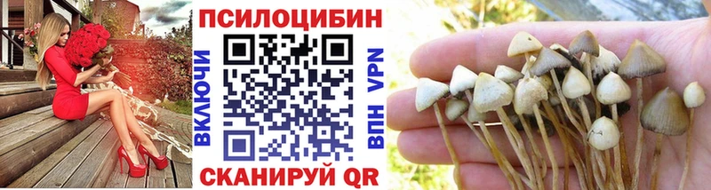 Галлюциногенные грибы MAGIC MUSHROOMS Новая Ляля